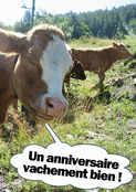 Une fête pleine de vaches et de rires !